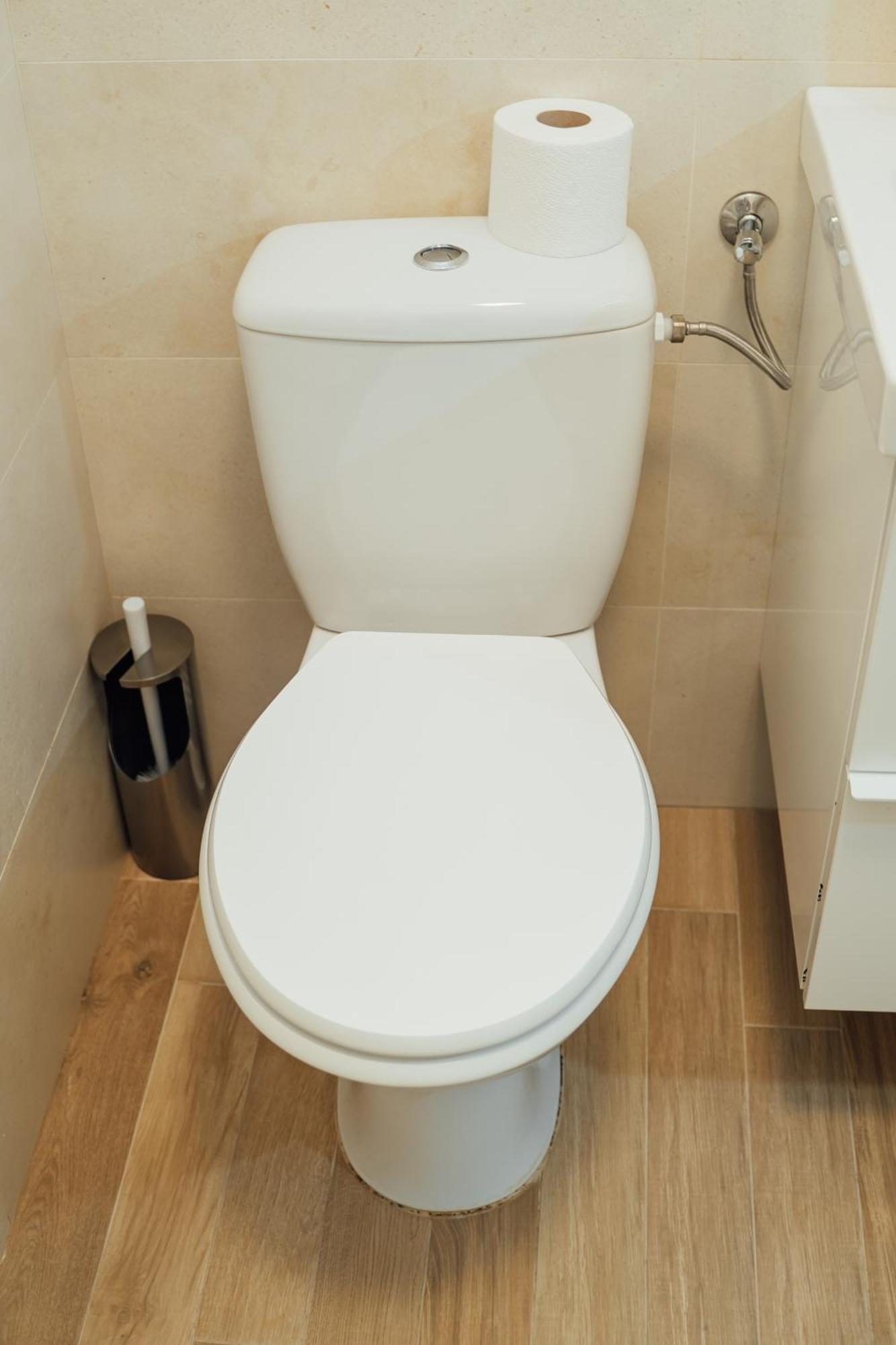 리메테아 Casa Botar Vendeghaz B&B 외부 사진